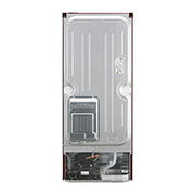 Lg Ref 260 Litres Frost Free Refrigerator N292BSDY With Smart Inverter Compressor, Multi Air Flow, LED Lighting, MOIST ‘N’ FRESH Scarlet Dazzle