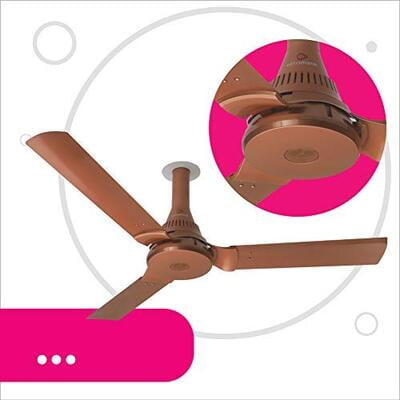 Ottomate Smart Standard 1250 mm Anti-Dust Ceiling Fan Ottomate Smart Standard 1250 mm Anti-Dust Ceiling Fan