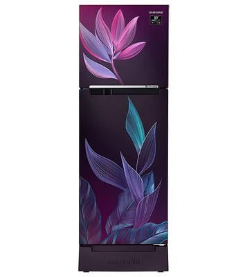 Samsung RT28T31429R/HL 253 litre 2 Star Inverter Frost-Free Double Door Refrigerator