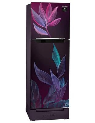 Samsung RT28T31429R/HL 253 litre 2 Star Inverter Frost-Free Double Door Refrigerator Samsung RT28T31429R/HL 253 litre 2 Star Inverter Frost-Free Double Door Refrigerator