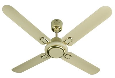 Bajaj Regal Gold 4 Blade 1200 mm Ceiling Fan Bajaj Regal Gold 4 Blade 1200 mm Ceiling Fan