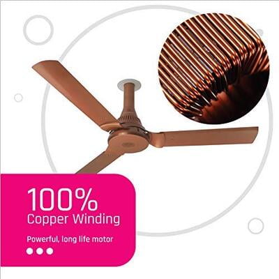 Ottomate Smart Standard 1250 mm Anti-Dust Ceiling Fan Ottomate Smart Standard 1250 mm Anti-Dust Ceiling Fan