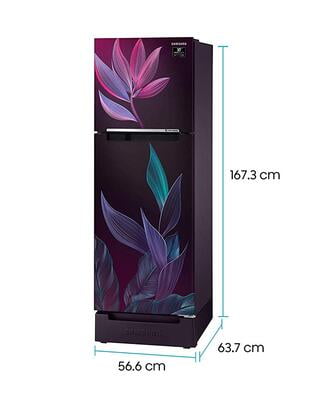 Samsung RT28T31429R/HL 253 litre 2 Star Inverter Frost-Free Double Door Refrigerator