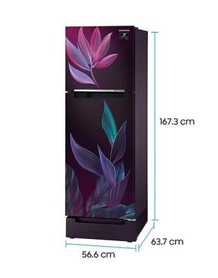 Samsung RT28T31429R/HL 253 litre 2 Star Inverter Frost-Free Double Door Refrigerator Samsung RT28T31429R/HL 253 litre 2 Star Inverter Frost-Free Double Door Refrigerator