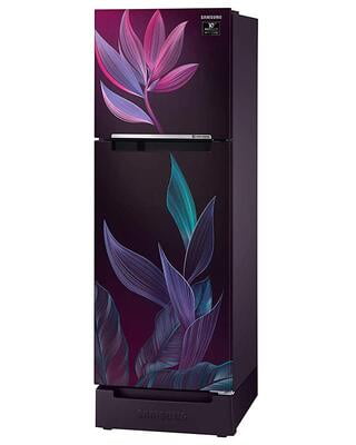 Samsung RT28T31429R/HL 253 litre 2 Star Inverter Frost-Free Double Door Refrigerator Samsung RT28T31429R/HL 253 litre 2 Star Inverter Frost-Free Double Door Refrigerator