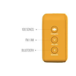 CARVAAN MINI 2.0 SAFFRON-PUNJABI GURBANI CARVAAN MINI 2.0 SAFFRON-PUNJABI GURBANI