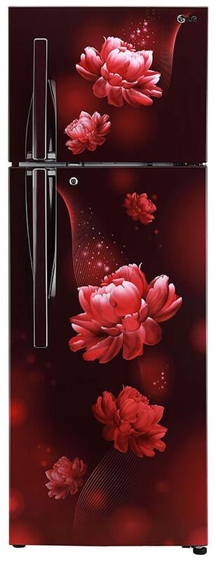 LG Refrigerator 284 litres Convertible Fridge Auto Smart Connect™T302RSCY LG Refrigerator 284 litres Convertible Fridge Auto Smart Connect™T302RSCY