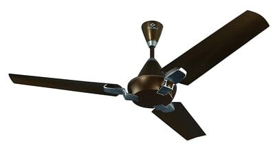 Bajaj ORNIO 65-Watt 1200mm Ceiling Fan