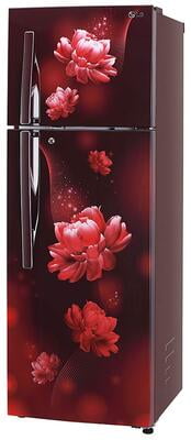 LG Refrigerator 284 litres Convertible Fridge Auto Smart Connect™T302RSCY LG Refrigerator 284 litres Convertible Fridge Auto Smart Connect™T302RSCY