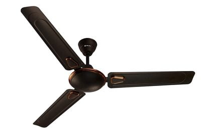 BAJAJ FAN 1200 MM EDGE HS DECO CHOKO BROWN