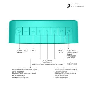 ACOOSTA SUNO Hits - Powered by Sony Music, 1000 Preloaded Songs - 7 Stations & 250 Artists, Portable Wireless Bluetooth Speaker with Mic, FM Radio, USB, Aux in, Aux Out, True Wireless Stereo ACOOSTA SUNO Hits - Powered by Sony Music, 1000 Preloaded Songs - 7 Stations & 250 Artists, Portable Wireless Bluetooth Speaker with Mic, FM Radio, USB, Aux in, Aux Out, True Wireless Stereo