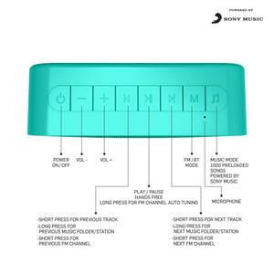 ACOOSTA SUNO Hits - Powered by Sony Music, 1000 Preloaded Songs - 7 Stations & 250 Artists, Portable Wireless Bluetooth Speaker with Mic, FM Radio, USB, Aux in, Aux Out, True Wireless Stereo