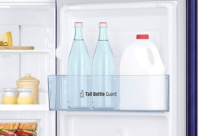 Samsung RT28T30226U/HL 253 litre 2 star Inverter Frost-Free Double Door Refrigerator