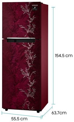 Samsung RT28T30226R/HL 253 litre 2 Star Inverter Frost-Free Double Door Refrigerator Samsung RT28T30226R/HL 253 litre 2 Star Inverter Frost-Free Double Door Refrigerator