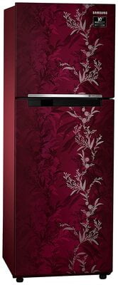 Samsung RT28T30226R/HL 253 litre 2 Star Inverter Frost-Free Double Door Refrigerator