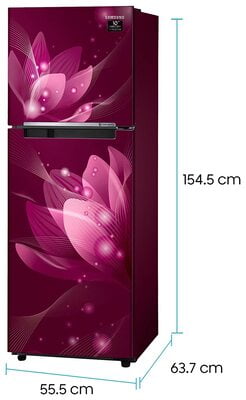 Samsung RT28T3032R8/HL 253 litre 2 Star Inverter Frost - Free Double Door Refrigerator
