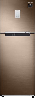 Samsung RT28T3522DU/HL 244 litre 2 Star Inverter Frost Free Refrigerator