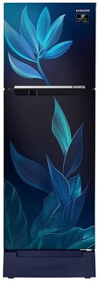 Samsung RT28T31429U/HL 253 litre 2 Star Inverter Frost-Free Double Door Refrigerator