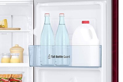 Samsung RT28T30226R/HL 253 litre 2 Star Inverter Frost-Free Double Door Refrigerator