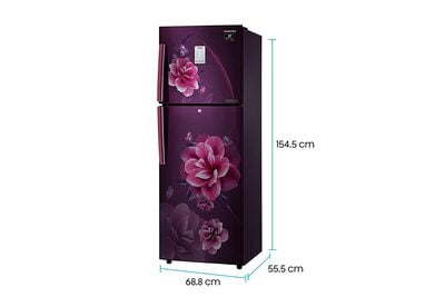Samsung RT28T3932CR/HL 253 litre 2 Star Inverter Double Door Refrigerator Samsung RT28T3932CR/HL 253 litre 2 Star Inverter Double Door Refrigerator