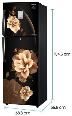 Samsung RT28T3932CB/HL 253 litre 2 Star Inverter Frost-Free Double Door Refrigerator Samsung RT28T3932CB/HL 253 litre 2 Star Inverter Frost-Free Double Door Refrigerator