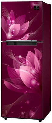 Samsung RT28T3032R8/HL 253 litre 2 Star Inverter Frost - Free Double Door Refrigerator Samsung RT28T3032R8/HL 253 litre 2 Star Inverter Frost - Free Double Door Refrigerator