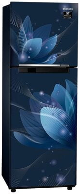 Samsung RT28T3032U8/HL 253 litre 2 Star Inverter Frost - Free Double Door Refrigerator Samsung RT28T3032U8/HL 253 litre 2 Star Inverter Frost - Free Double Door Refrigerator