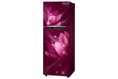 Samsung RT28T3032R8/HL 253 litre 2 Star Inverter Frost - Free Double Door Refrigerator