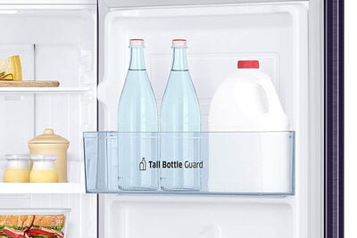 Samsung RT28T3122UT/HL 253 litres 2 Star Double Door Refrigerator Samsung RT28T3122UT/HL 253 litres 2 Star Double Door Refrigerator