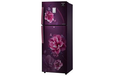 Samsung RT28T3932CR/HL 253 litre 2 Star Inverter Double Door Refrigerator Samsung RT28T3932CR/HL 253 litre 2 Star Inverter Double Door Refrigerator