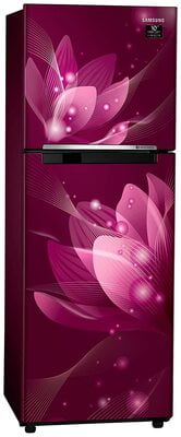 Samsung RT28T3032R8/HL 253 litre 2 Star Inverter Frost - Free Double Door Refrigerator Samsung RT28T3032R8/HL 253 litre 2 Star Inverter Frost - Free Double Door Refrigerator