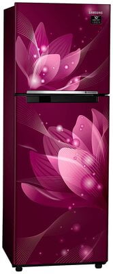 Samsung RT28T3032R8/HL 253 litre 2 Star Inverter Frost - Free Double Door Refrigerator