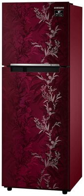 Samsung RT28T30226R/HL 253 litre 2 Star Inverter Frost-Free Double Door Refrigerator Samsung RT28T30226R/HL 253 litre 2 Star Inverter Frost-Free Double Door Refrigerator