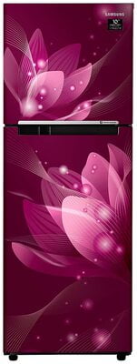Samsung RT28T3032R8/HL 253 litre 2 Star Inverter Frost - Free Double Door Refrigerator Samsung RT28T3032R8/HL 253 litre 2 Star Inverter Frost - Free Double Door Refrigerator