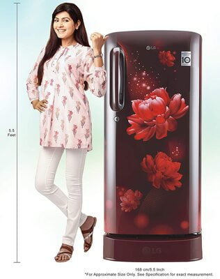 LG REF 190 LTR D201ASCY