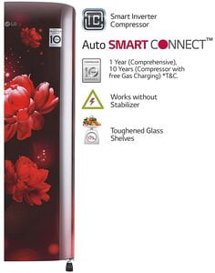 LG REF 190LTR B201ASCY LG REF 190LTR B201ASCY