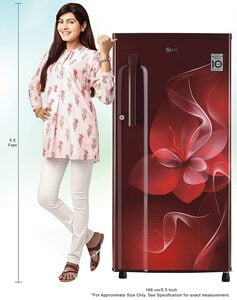 LG REF B191KSDX LG REF B191KSDX