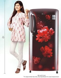 LG REF 190LTR B201ASCY LG REF 190LTR B201ASCY