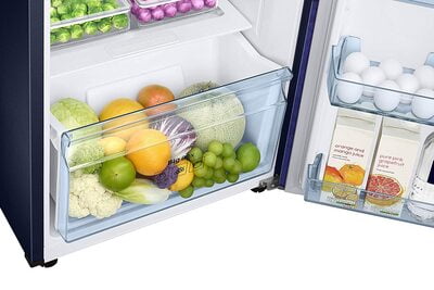 Samsung RT28T30226U/HL 253 litre 2 star Inverter Frost-Free Double Door Refrigerator