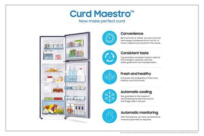 Samsung RT28T3522RU/HL 244 litre 2 Star Inverter Frost-Free Refrigerator Samsung RT28T3522RU/HL 244 litre 2 Star Inverter Frost-Free Refrigerator