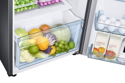 Samsung RT28T3783SL/HL 253 litre 3 Star Inverter Frost Free Double Door Refrigerator