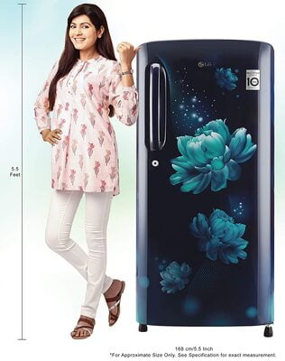 LG REF 190LTR B201ABCY LG REF 190LTR B201ABCY
