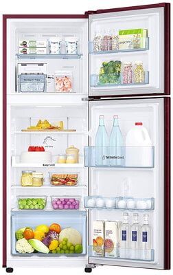 Samsung RT28T30226R/HL 253 litre 2 Star Inverter Frost-Free Double Door Refrigerator