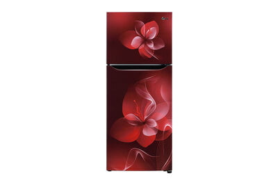 Lg Ref 260 Litres Frost Free Refrigerator N292BSDY With Smart Inverter Compressor, Multi Air Flow, LED Lighting, MOIST ‘N’ FRESH Scarlet Dazzle