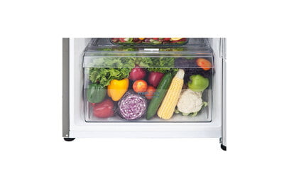 Lg Ref 260 Litres Frost Free Refrigerator N292BDSY With Smart Inverter Compressor, Multi Air Flow, LED Lighting, MOIST ‘N’ FRESH