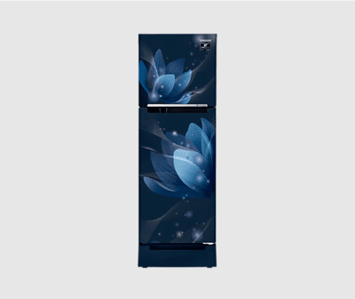 Samsung RT28A3122U8 253 litre Double Door Refrigerator