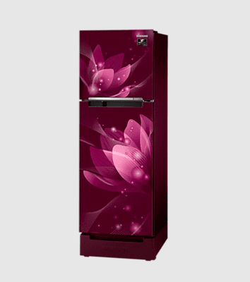 Samsung RT28A3122R8 253 litre Double Door Refrigerator Samsung RT28A3122R8 253 litre Double Door Refrigerator