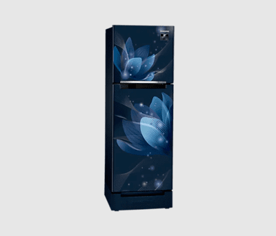 Samsung RT28A3122U8 253 litre Double Door Refrigerator Samsung RT28A3122U8 253 litre Double Door Refrigerator