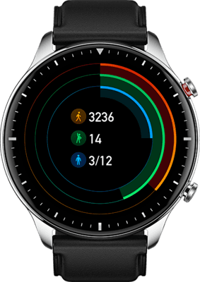 Huami Amazfit GTR 2 with SpO2, BT Call, GPS