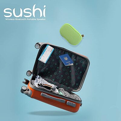 Corseca Sushi DMS2355 10 Watt 2.0 Channel Wireless Bluetooth Portable Speaker Corseca Sushi DMS2355 10 Watt 2.0 Channel Wireless Bluetooth Portable Speaker